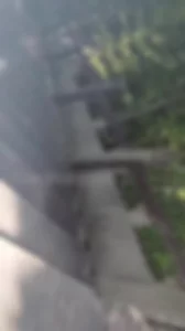 [原创] 落地窗人妻和我东方文化园野战偷情放尿