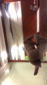 [原创] 调教广佛骚逼2