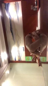 [原创] 调教广佛骚逼3